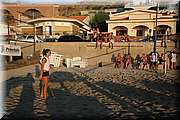IMG_8379.jpg
