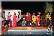 IMG_3910.jpg
