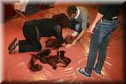 IMG_6195.jpg
