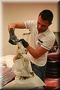 IMG_6197.jpg