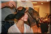 IMG_6275.jpg