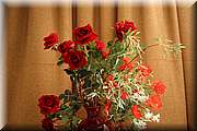 IMG_0656.JPG