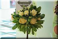 IMG_9822.JPG