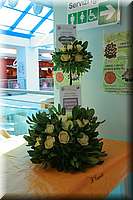 IMG_9823.JPG
