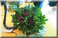 IMG_9824.JPG