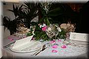 IMG_3487.jpg