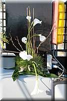 IMG_6125.jpg