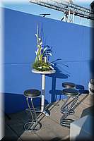IMG_6126.jpg