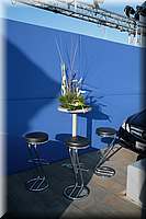 IMG_6129.jpg