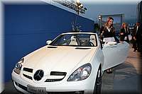 IMG_6272.jpg