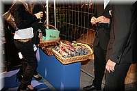 IMG_6404.jpg