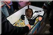 IMG_8133.jpg