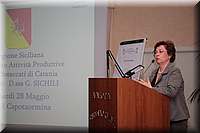 IMG_7912.JPG