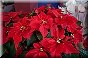 IMG_4989.jpg