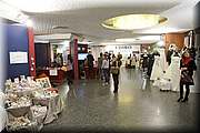 IMG_5004.jpg