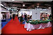 IMG_5383.JPG