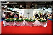 IMG_5437.JPG