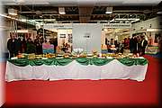 IMG_5439.JPG