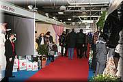 IMG_5575.JPG