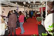 IMG_5608.jpg