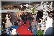 IMG_5750.jpg
