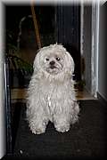 IMG_5794.jpg