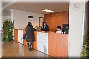 IMG_6734.jpg