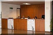 IMG_6782.jpg