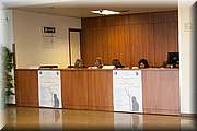 IMG_6784.jpg