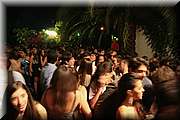 IMG_7981.jpg