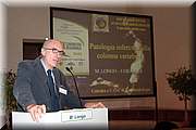 IMG_3017.jpg