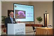 IMG_3142.jpg