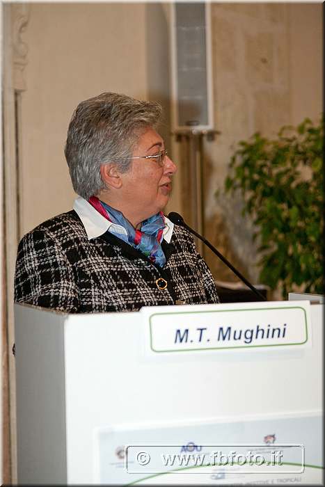 IMG_3455.jpg