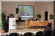 IMG_3450.jpg