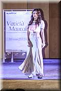 IMG_1961.jpg