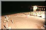 IMG_2102.jpg