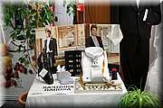 IMG_4183.jpg