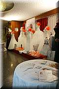 IMG_4241.jpg