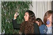 IMG_0131.jpg