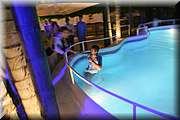 IMG_1294.jpg