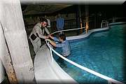 IMG_1295.jpg