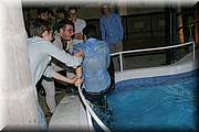 IMG_1296.jpg