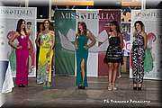 FB4_8618.jpg