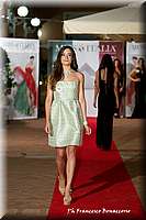 FB4_9244.jpg
