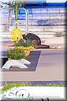FB4_5501.jpg