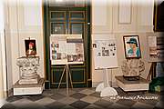 IMG_8311.jpg