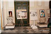 IMG_8312.jpg