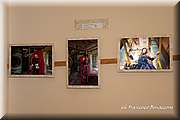 IMG_8315.jpg