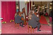 IMG_8323.jpg