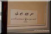 IMG_8330.jpg